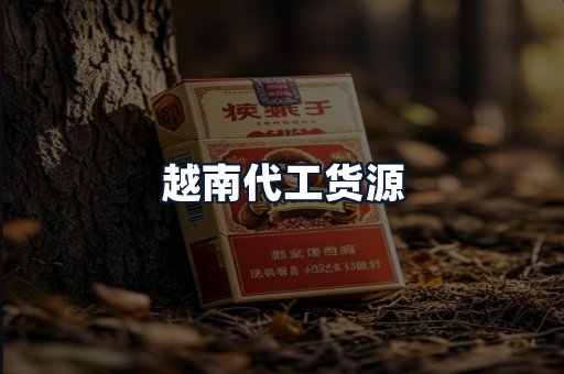 越南代工货源